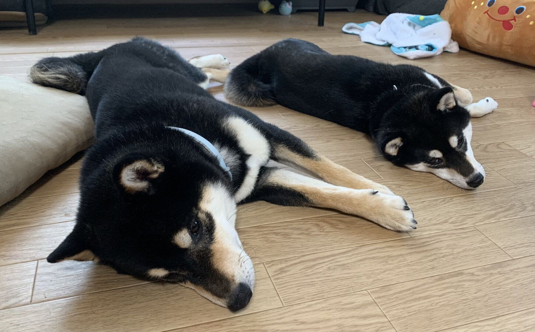 寝転がるそらちよくんとももちよちゃん