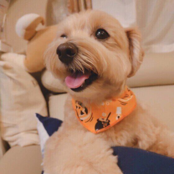 ご機嫌な笑顔のmocoちゃん