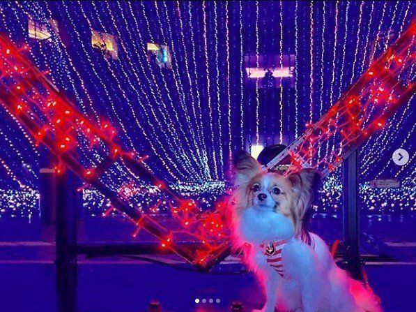 ランドマークタワー