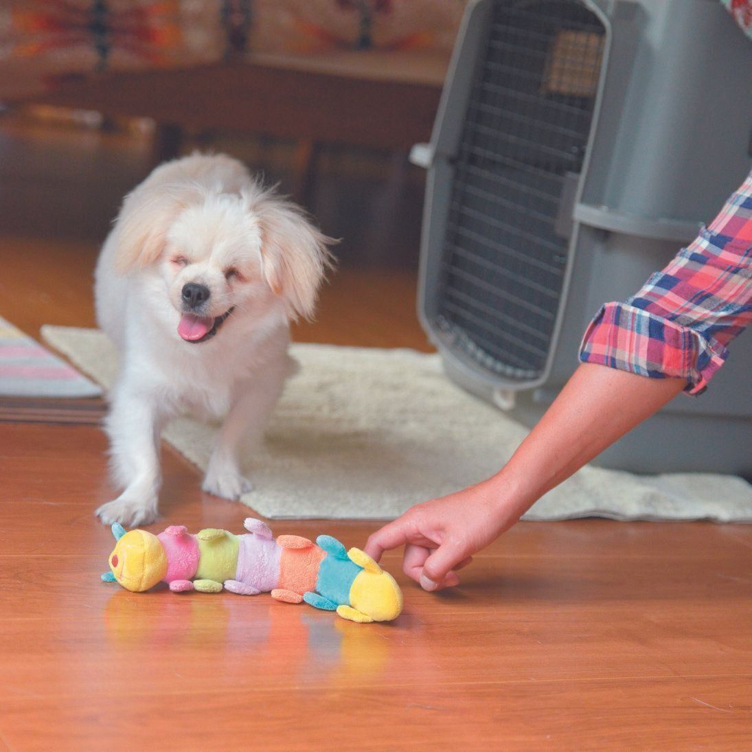 撮影／犬丸美絵