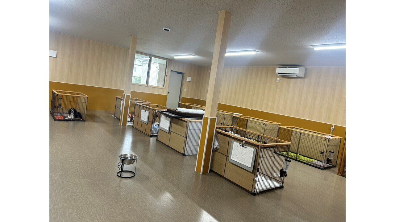 ケージは間隔をあけて設置