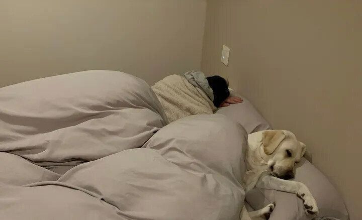 飼い主さんの寝る場所を奪うれもんちゃん