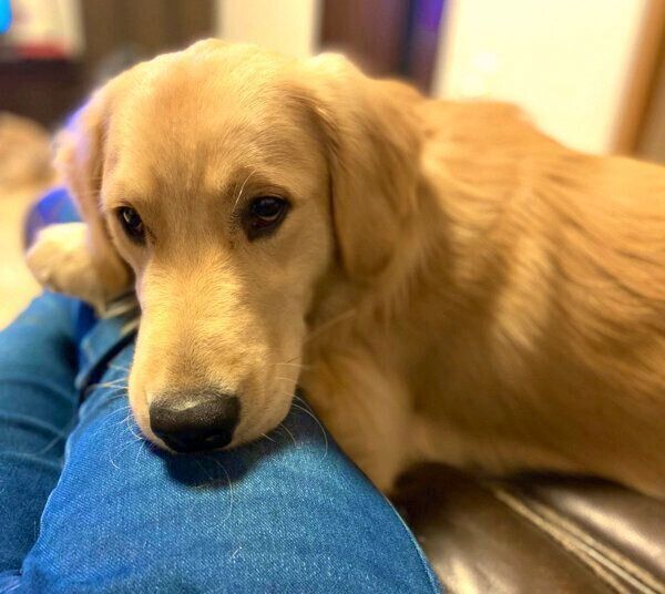 見つめるまるくん