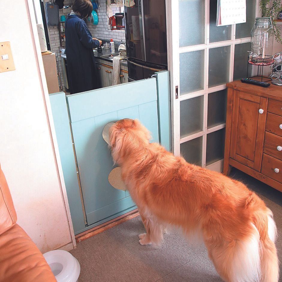 お手製の侵入防止ゲート