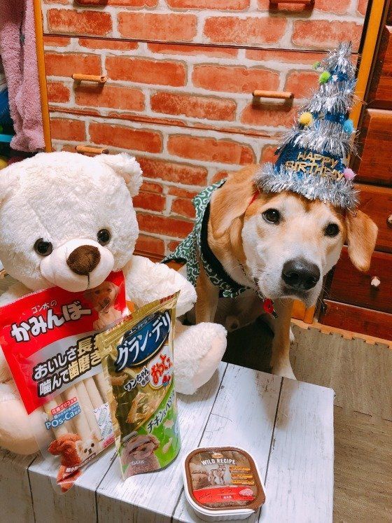 お誕生日プレゼント