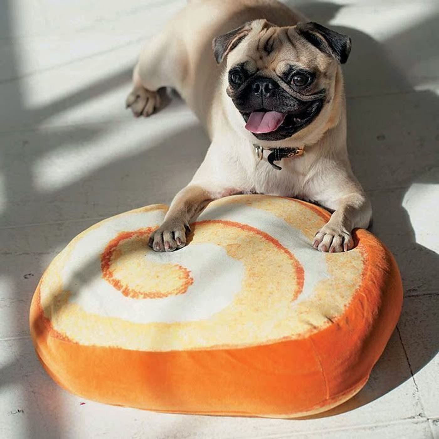 愛犬にも使える ニトリと無印良品のおしゃれなグッズ6選 いぬのきもちweb Magazine 愛犬にも使える ニトリと無印良品のおしゃれなグッズ6選 いぬのきもちweb Magazine
