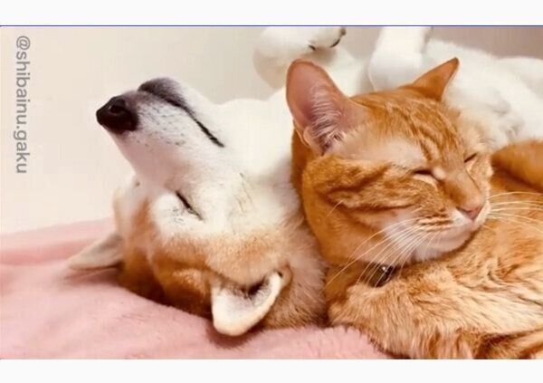 仲良しな岳くんと寅次朗くん