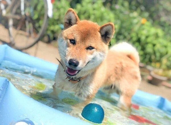 水遊びをするそらくん