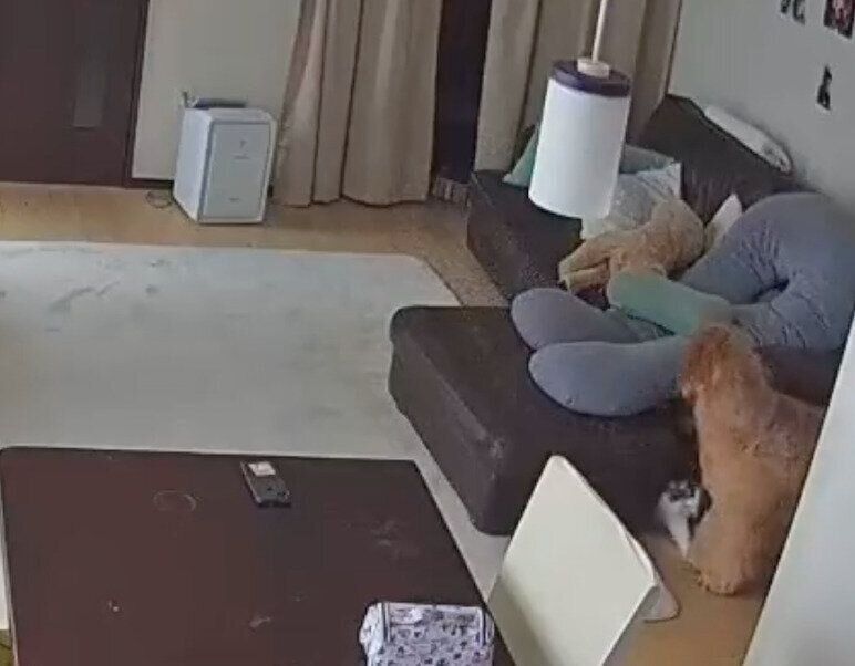 えんじろうくんと遊んであげるさんちゃん