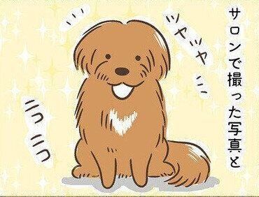 連載「こぐま犬てんすけ」vol.110