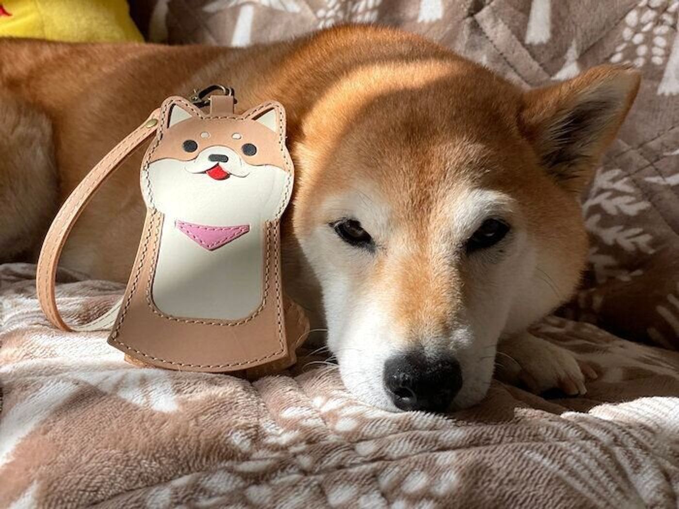 Axg38ll0qq9oem Axg38ll0qq9oem