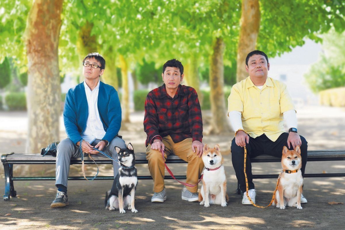 (C)2019「柴公園」製作委員会