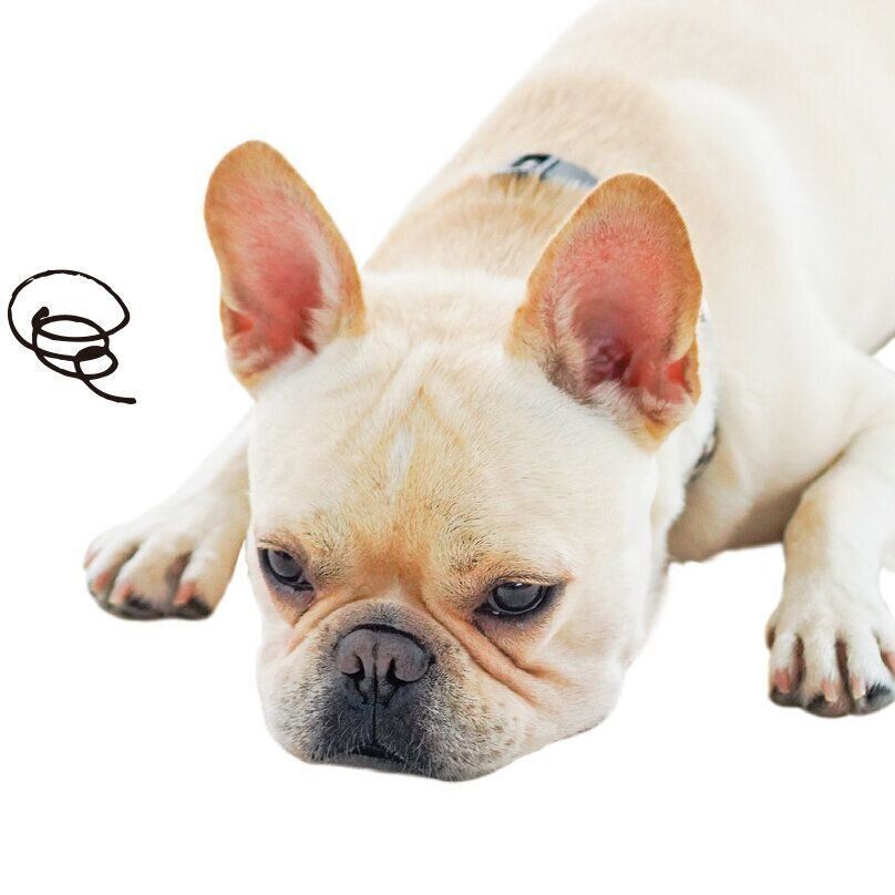 持病が悪化する食べ物とは？