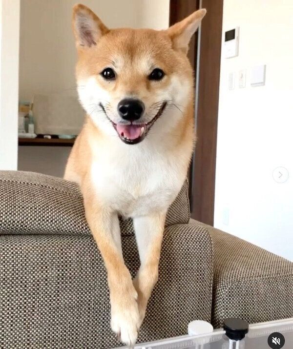 笑顔のころたくん