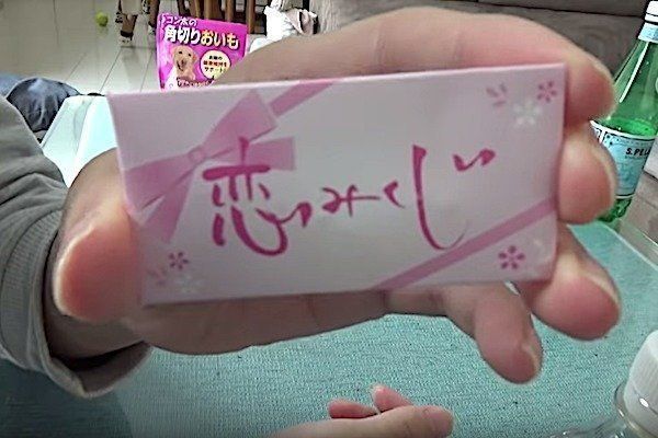 恋みくじをひく柴犬