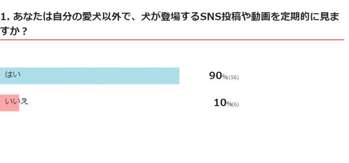 自分の愛犬以外で、犬が登場するSNS投稿や動画を定期的に見ますか?