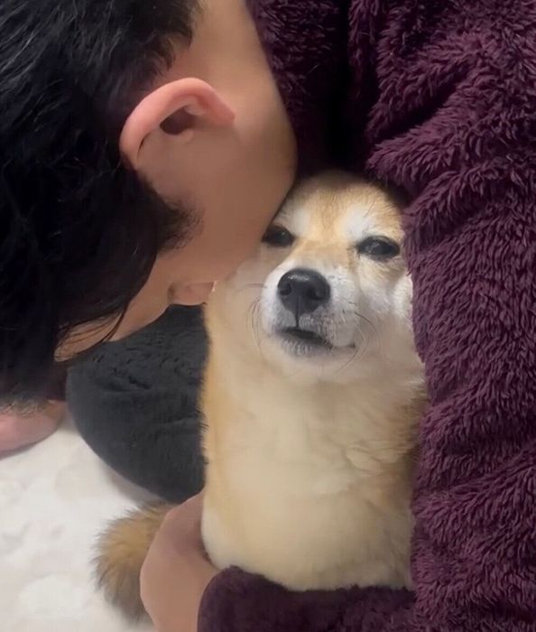 パパさんに寝かしつけられるこたろうくん