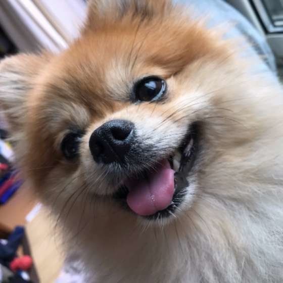 介護疲れにならないために