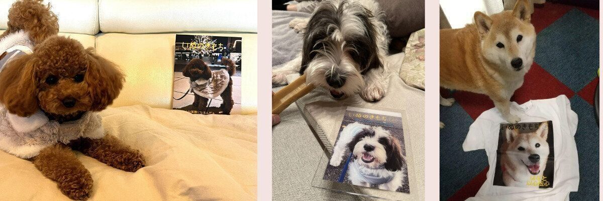 うちのコ表紙メーカー