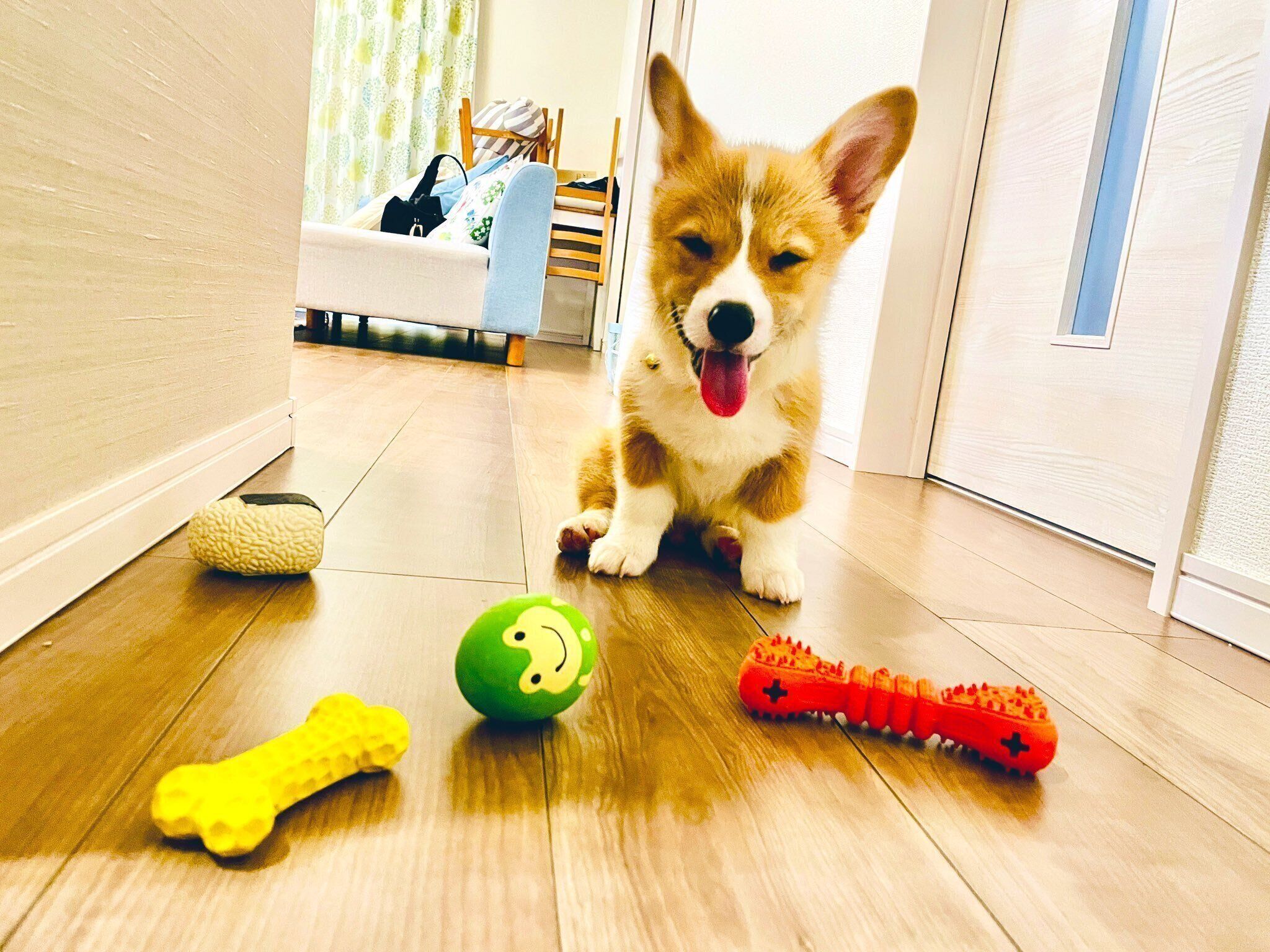 おもちゃで遊びたいこっぺくん