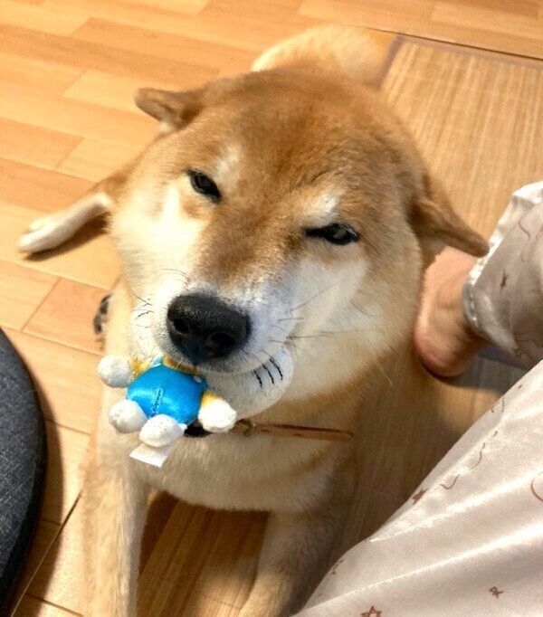 笑顔が素敵なすずちゃん