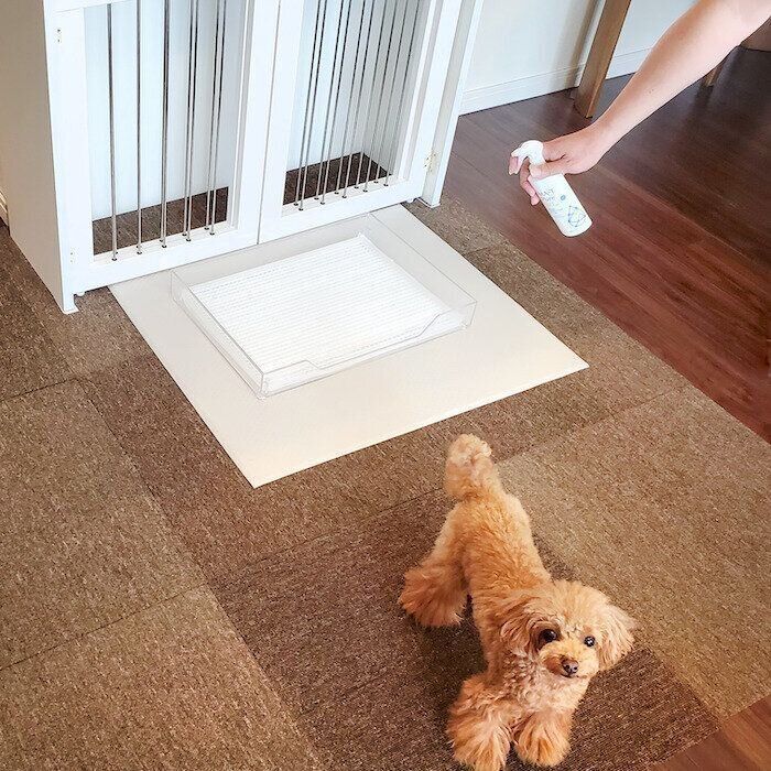 トイレと犬
