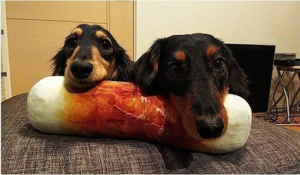 ニトリのクッション