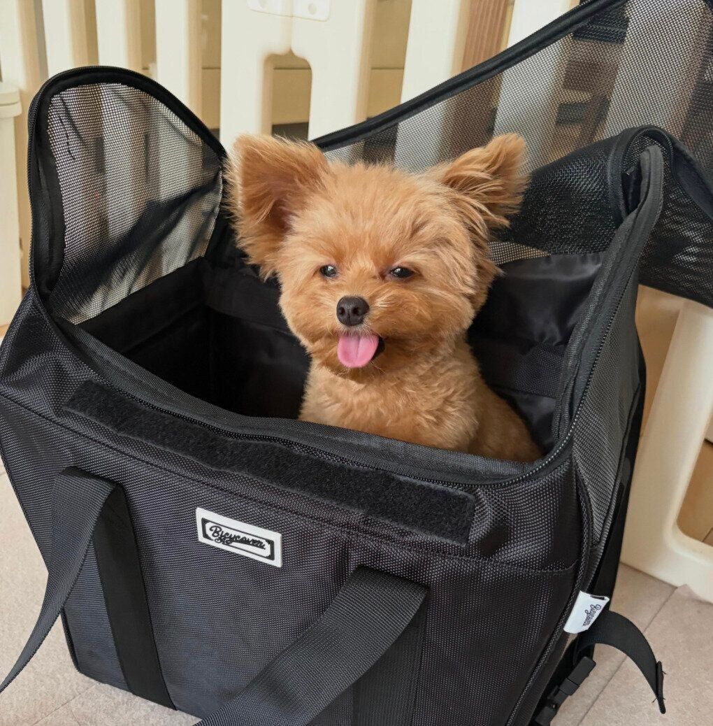 キャリーバッグに入るすあまちゃん