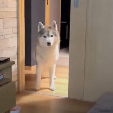 悩ましい文太くん