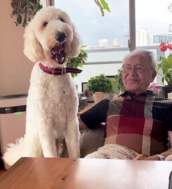 仲良しなおじいちゃんとシエルくん