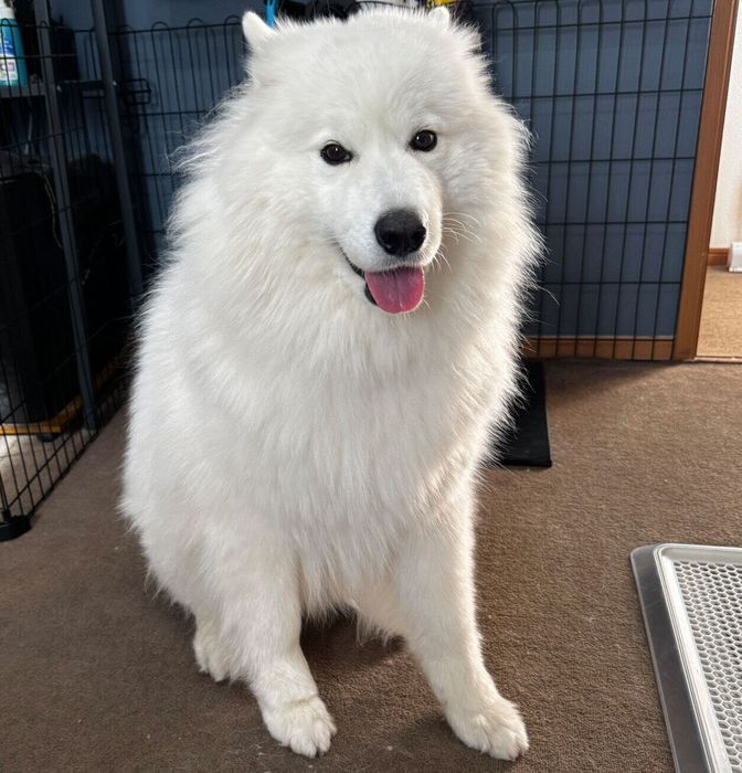 2才になったエルちゃん