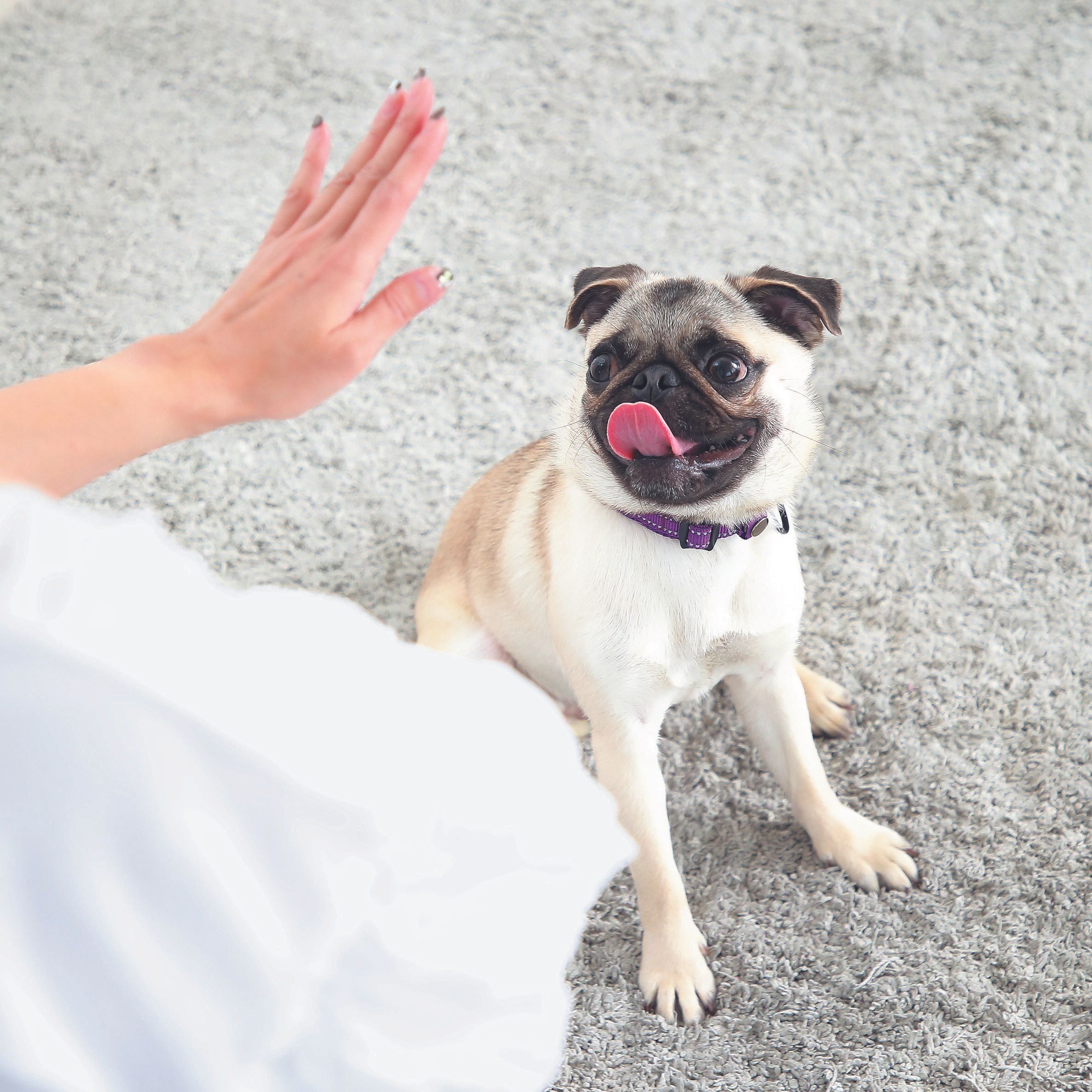 撮影／尾﨑たまき