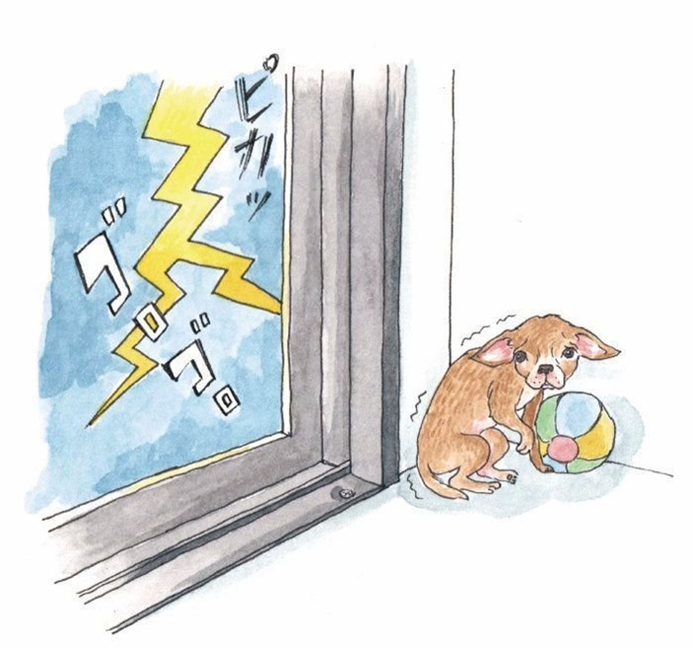 留守番中ずっと鳴き続ける犬 治療が必要な 病気 かも いぬのきもちweb Magazine 留守番中ずっと鳴き続ける犬 治療が必要な 病気 かも いぬのきもちweb Magazine