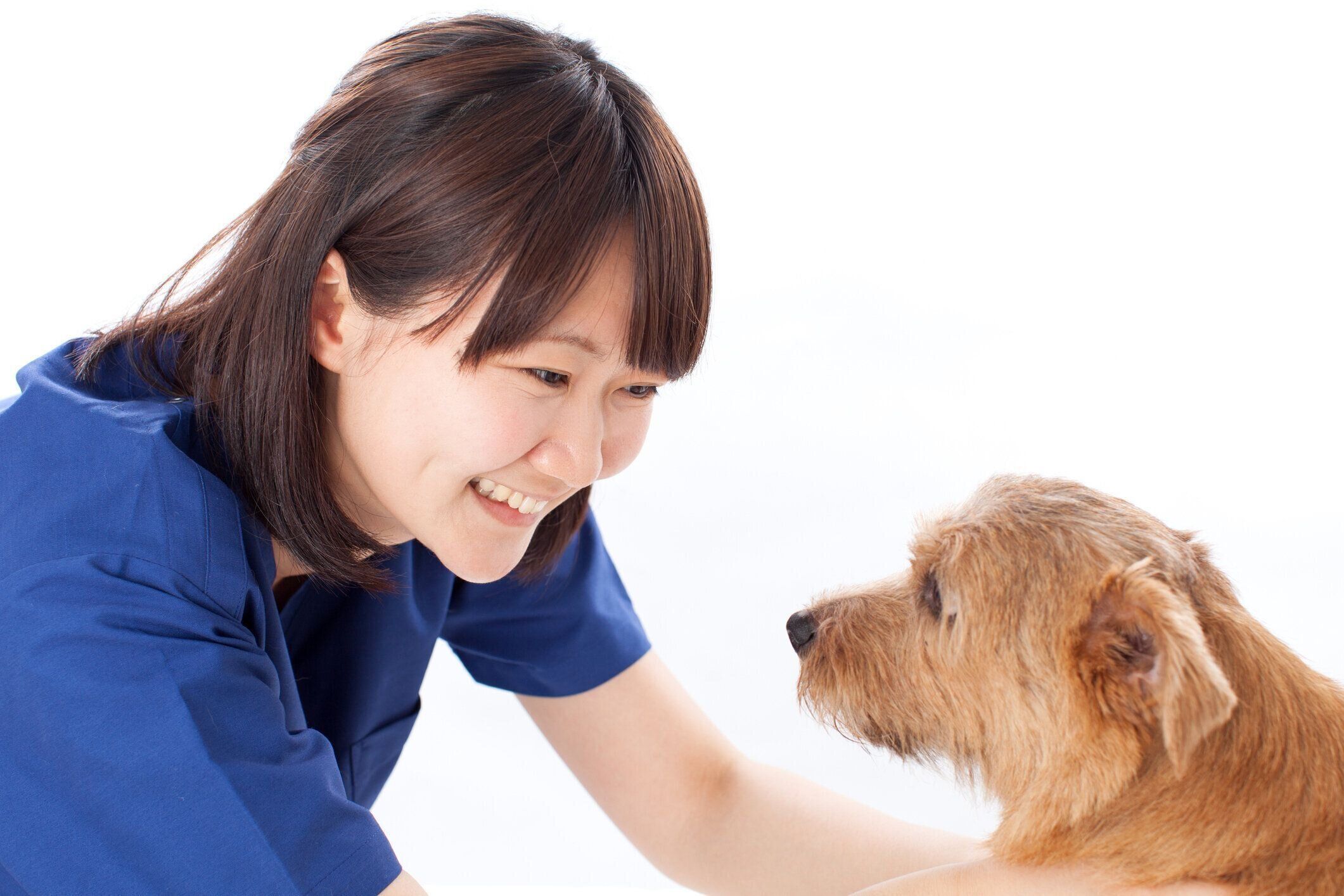 犬と一緒に日本の女性医師