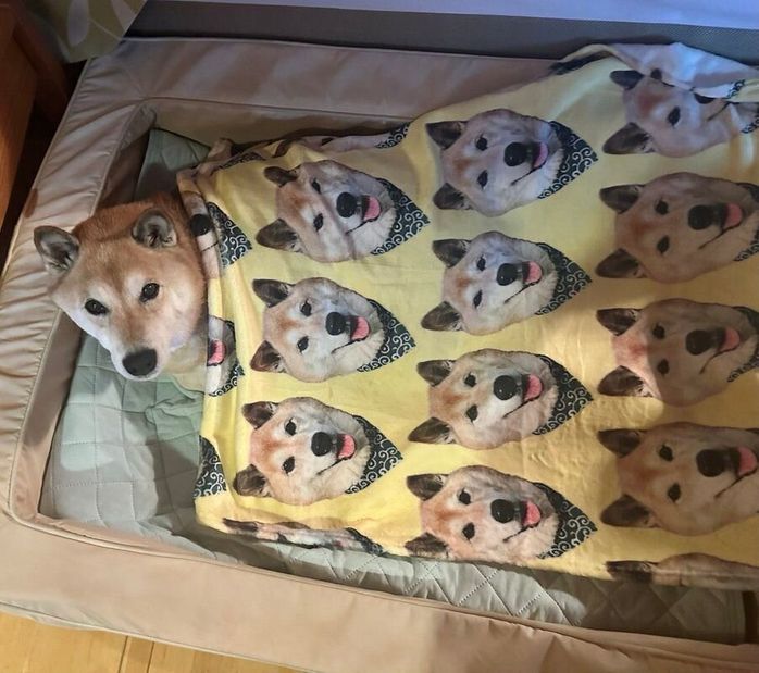 毛布をかけるぱんくん