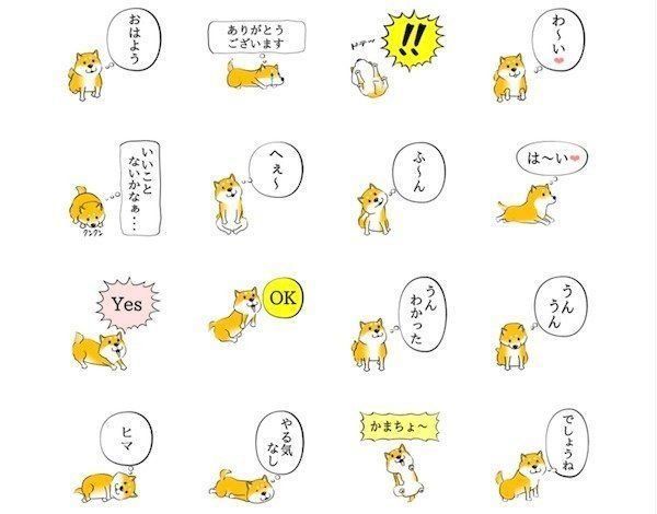「激しく尻尾をふる柴犬【初版】」