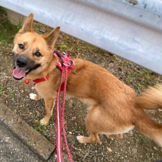 笑顔の茶豆ちゃん