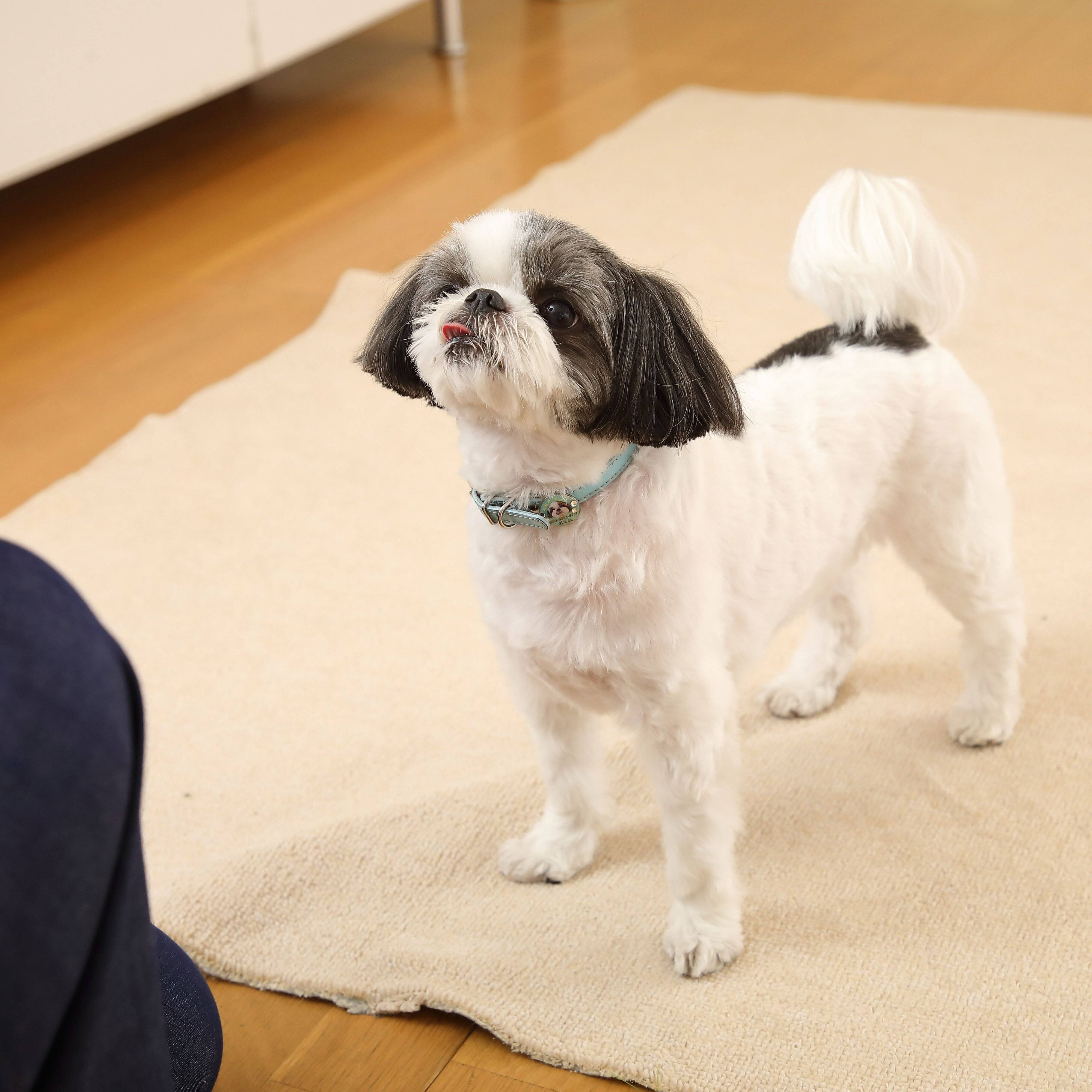 ニオイをかぎに来るのは好意の表れ！