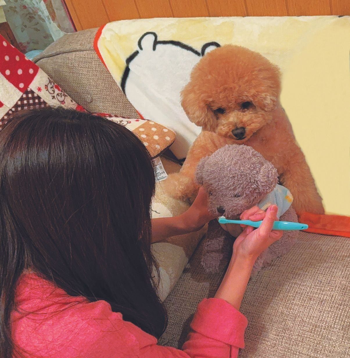 歯みがきできるぬいぐるみをほめた