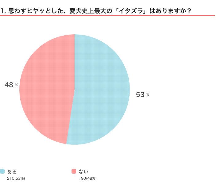 いぬのきもちWEB MAGAZINE　「犬あるある」に関するアンケート