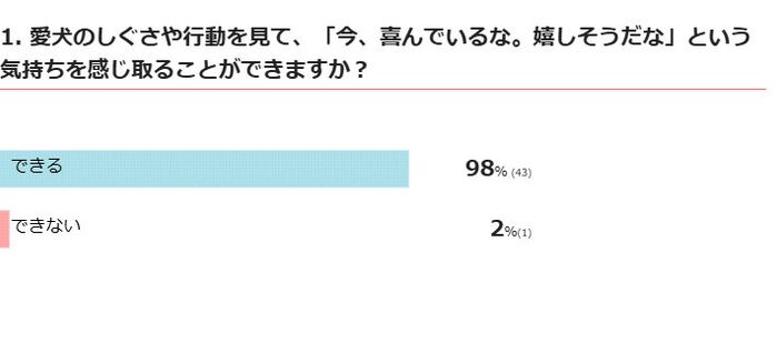 愛犬のしぐさや行動を見て「嬉しい」気持ちを感じ取れる?