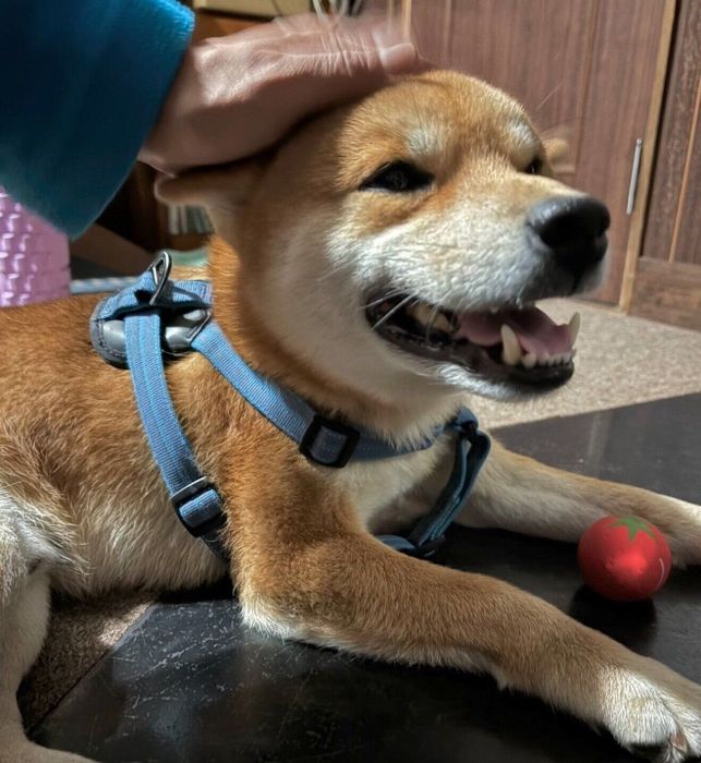 ストーブの前で笑顔を見せる福ちゃん