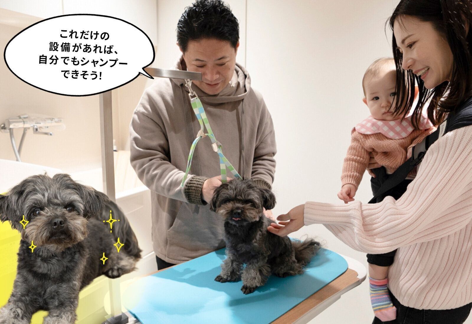 フジタ　大和リビング　リーラ横浜川和町　月次健診　犬猫合わせて4頭　マンション　賃貸マンション　ペット共生型マンション　いぬのきもち　いぬ　トリミングサロン