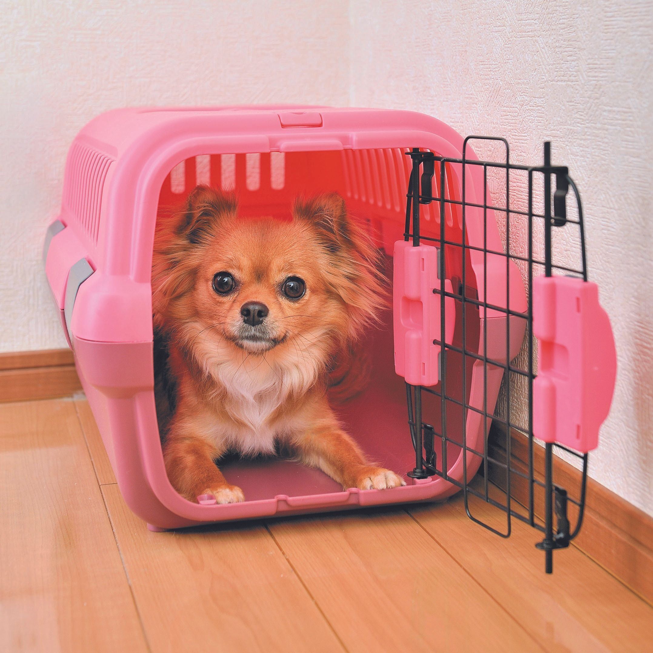 早めにマスターしておこう！