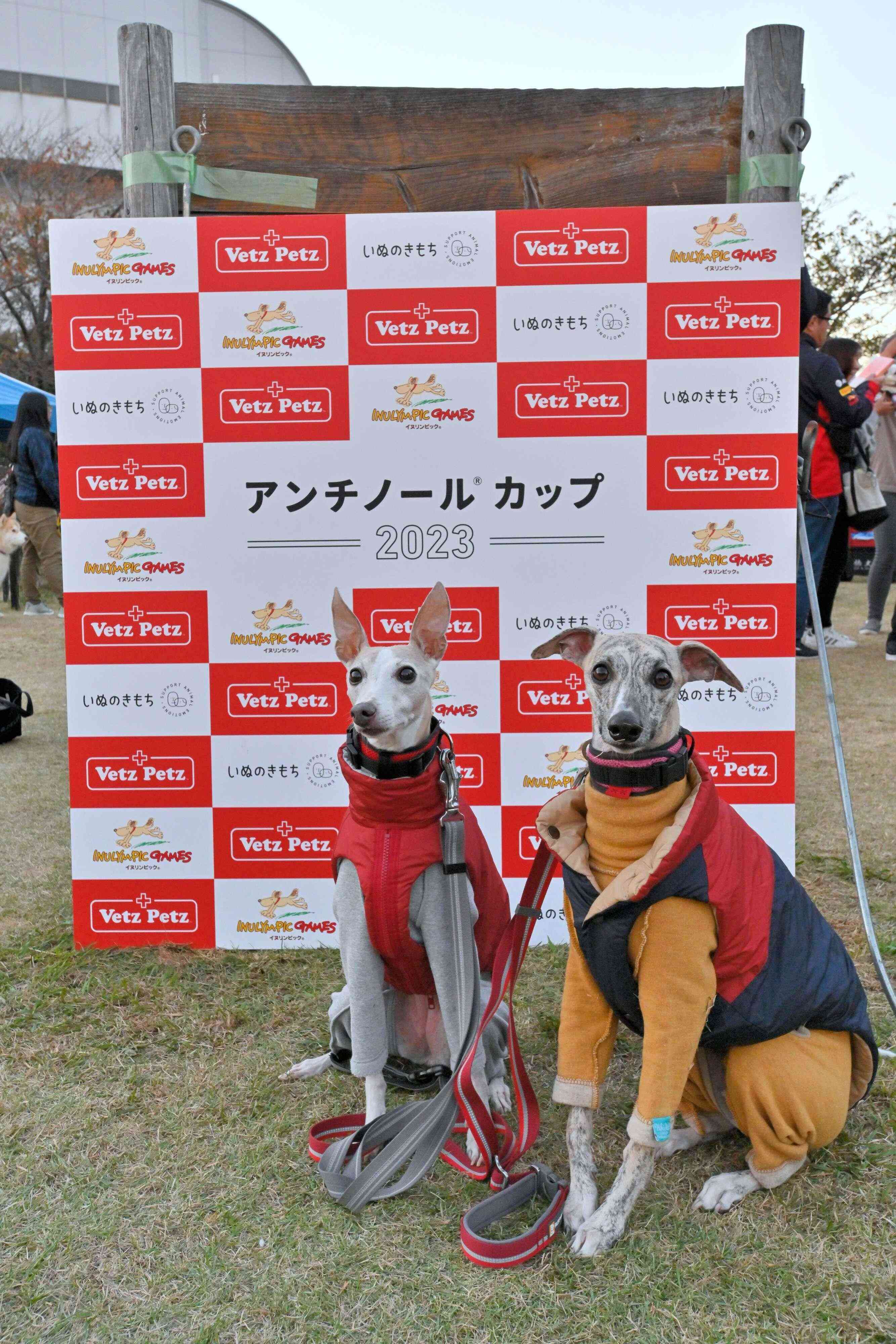 「アンチノール®カップタイムレース50」優勝者カペラちゃん