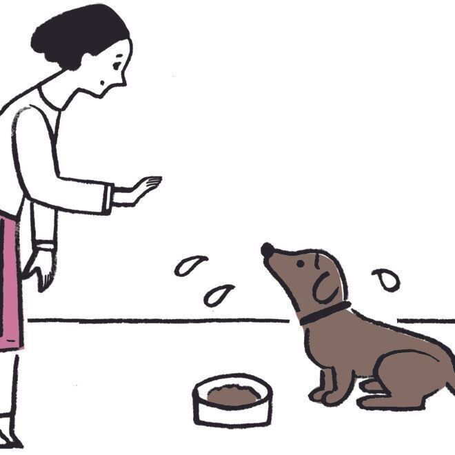 イラスト／オガワナホ