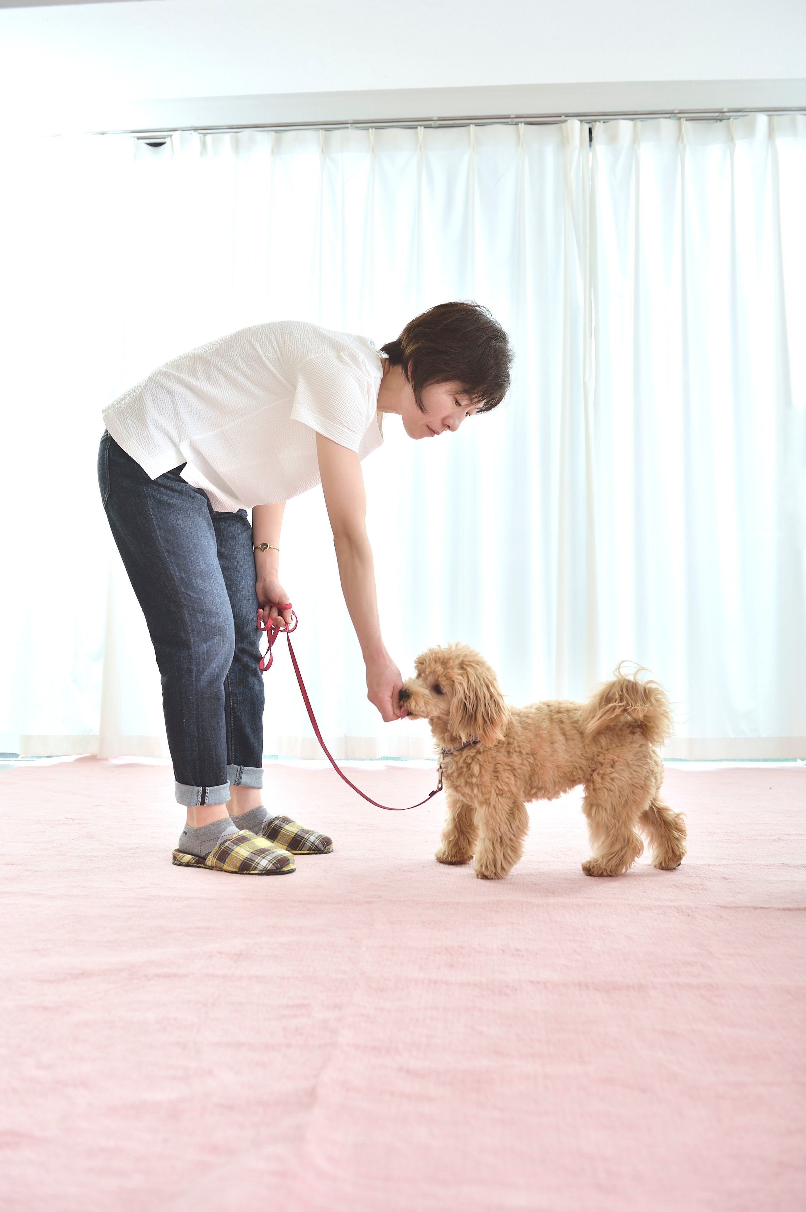 撮影／佐藤正之