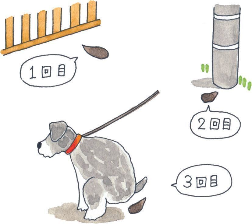 イラスト／今井夏子