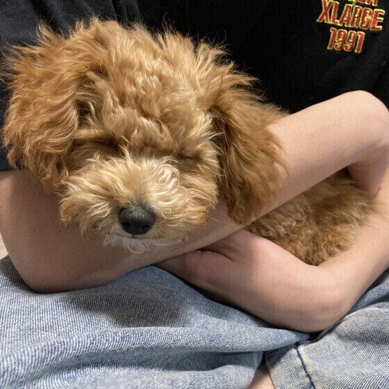 お休み中のキキちゃん