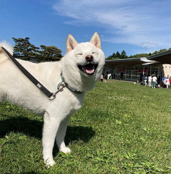 笑顔のゆきみちゃん